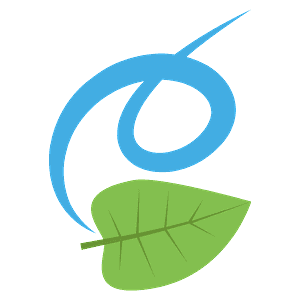 Leaf fluttering in wind