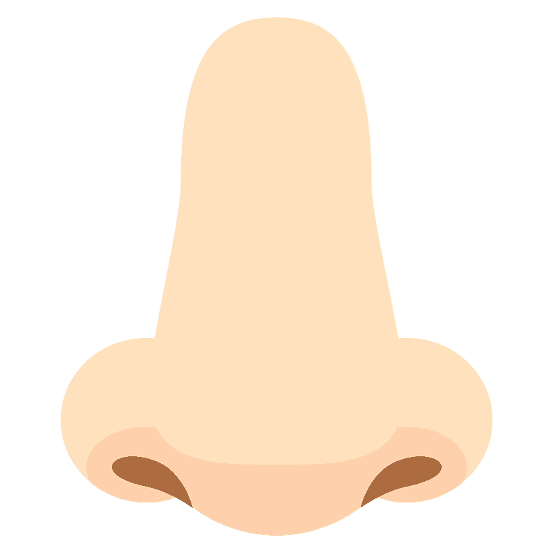 Nose
