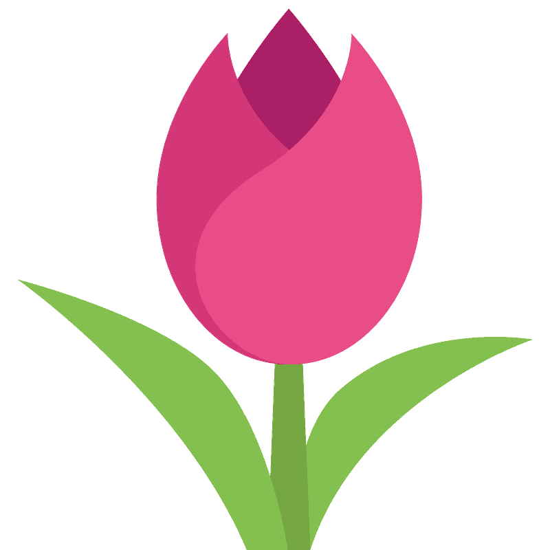 Tulip
