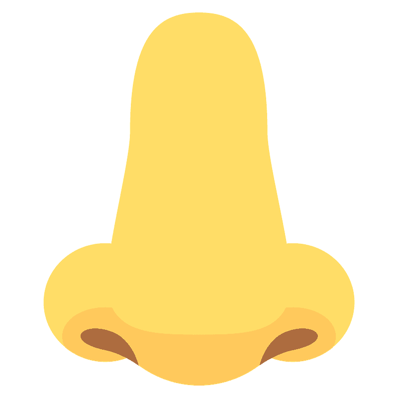 鼻子