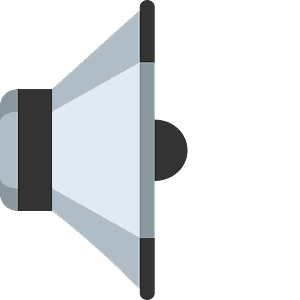 Speaker low volume