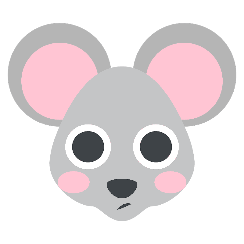 Mouse face
