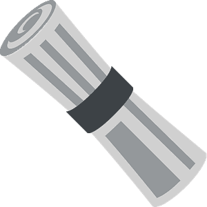 Rolled-up newspaper
