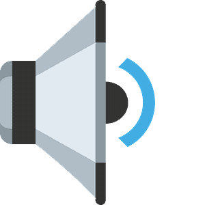 Speaker medium volume