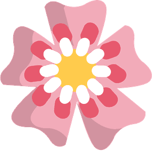 Cherry blossom