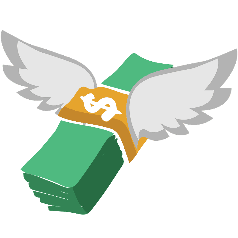 Money with wings