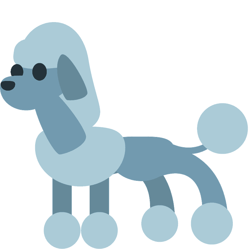 贵宾犬