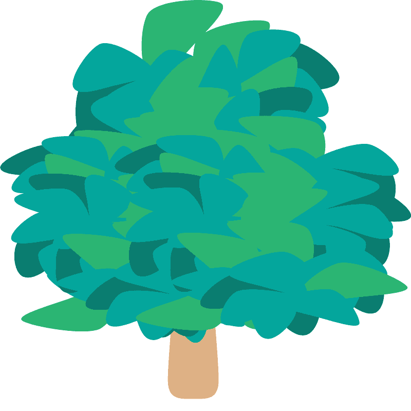 Deciduous tree