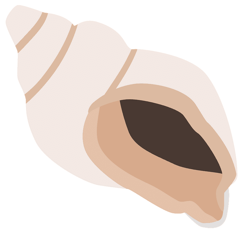 달팽이집