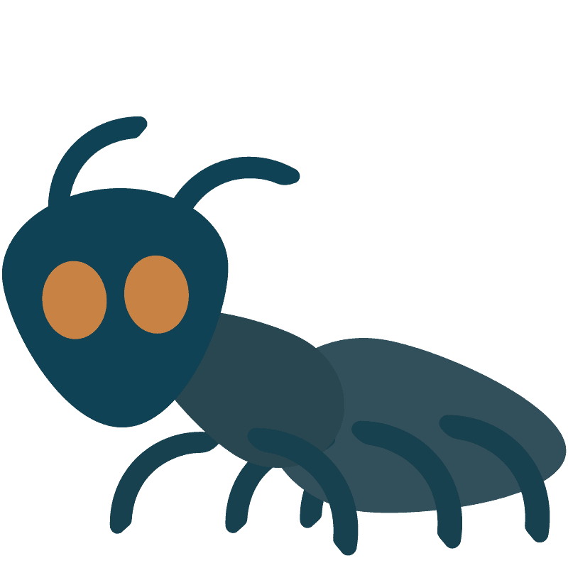 Ant