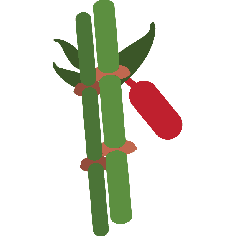 Tanabata tree