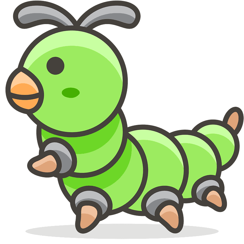 毛毛虫