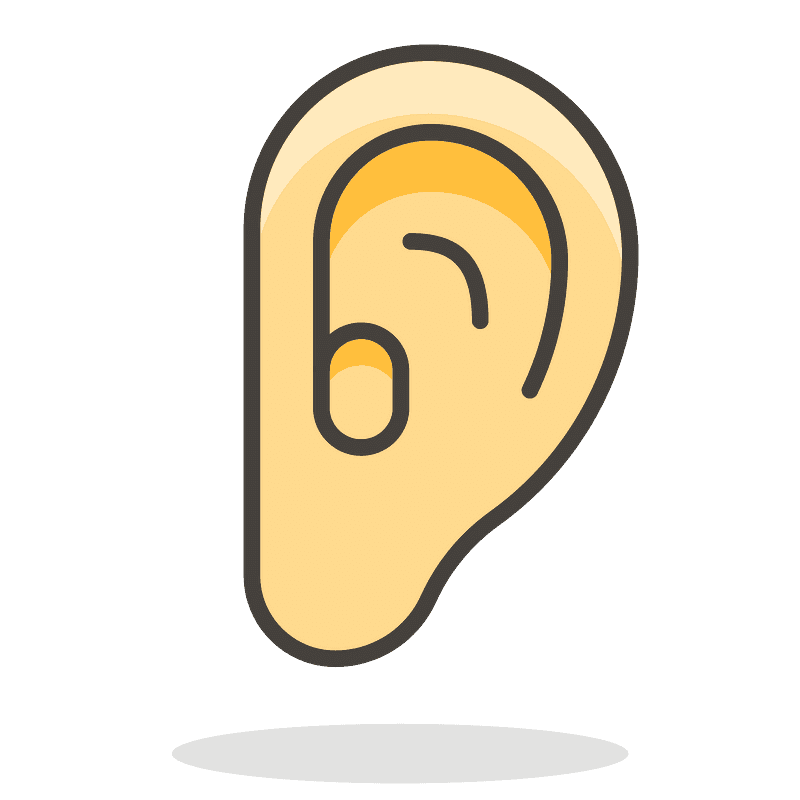 Ear