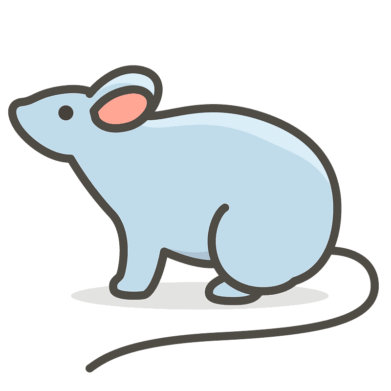 Mouse
