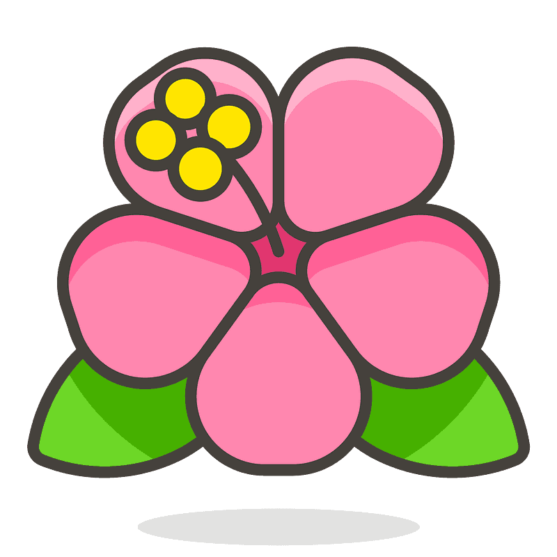 芙蓉