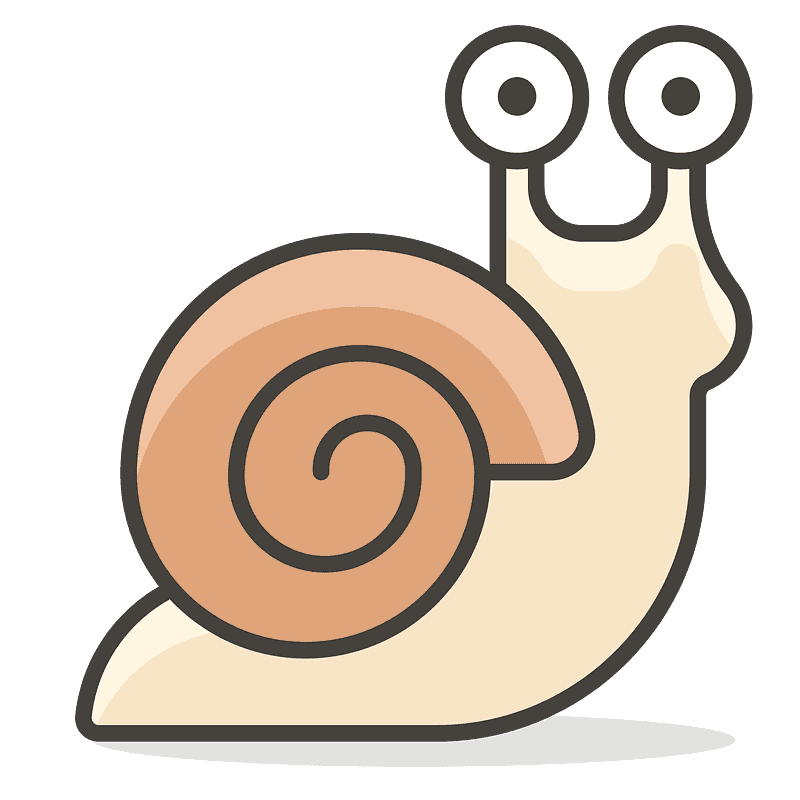 Snail