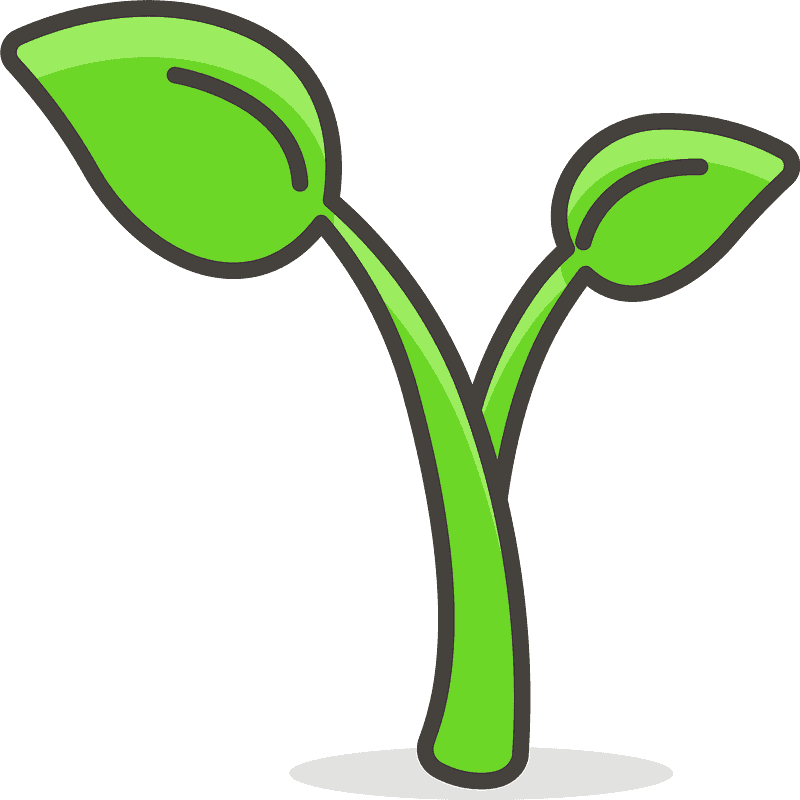 Seedling