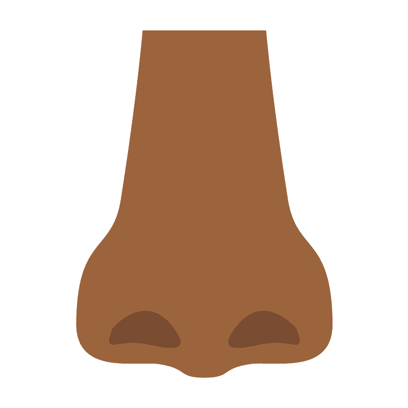 Nose
