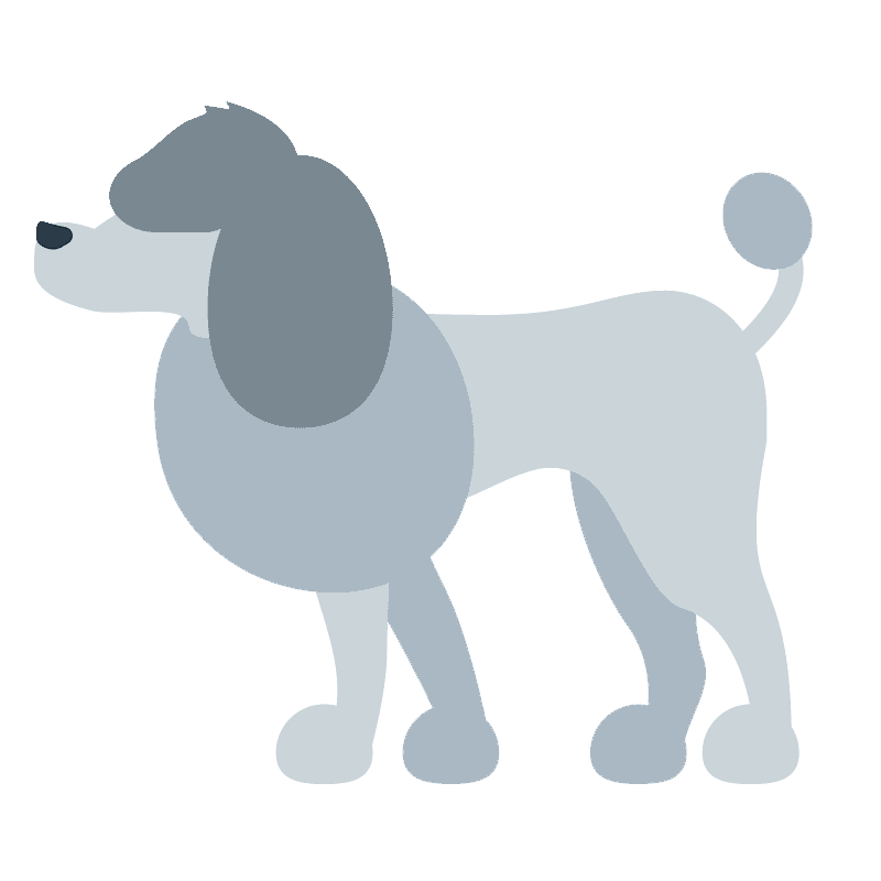 贵宾犬