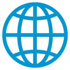 Globe with meridians