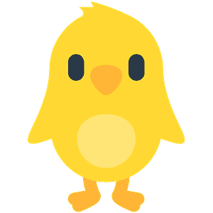 Front-facing baby chick