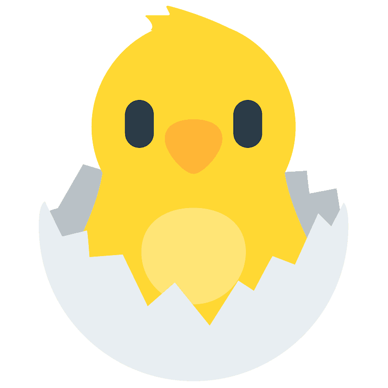 Hatching chick