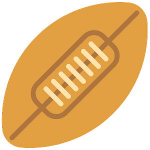 Rugby football