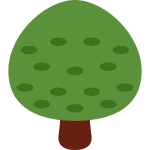 Deciduous tree