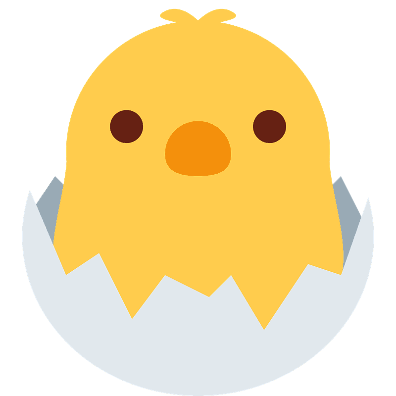 알에서 깬 병아리