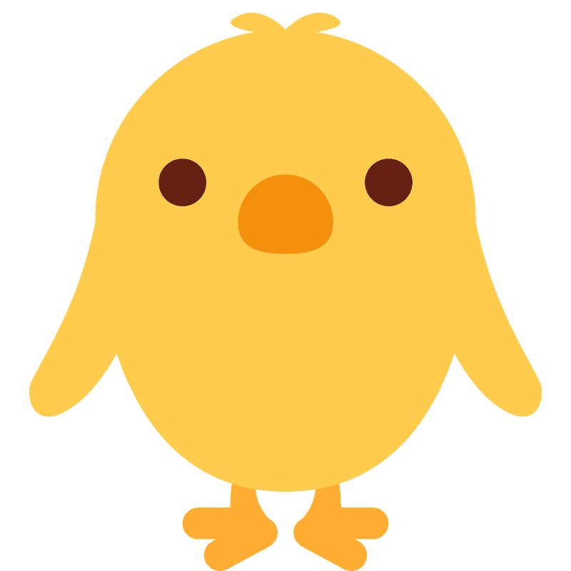 正面朝向的小鸡