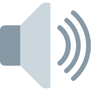 Speaker high volume