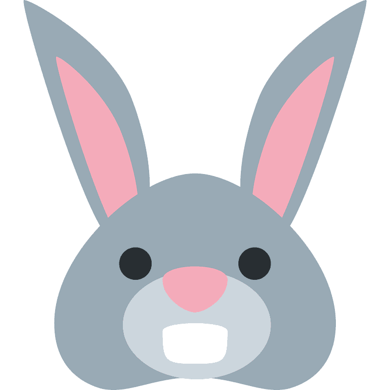 Rabbit face