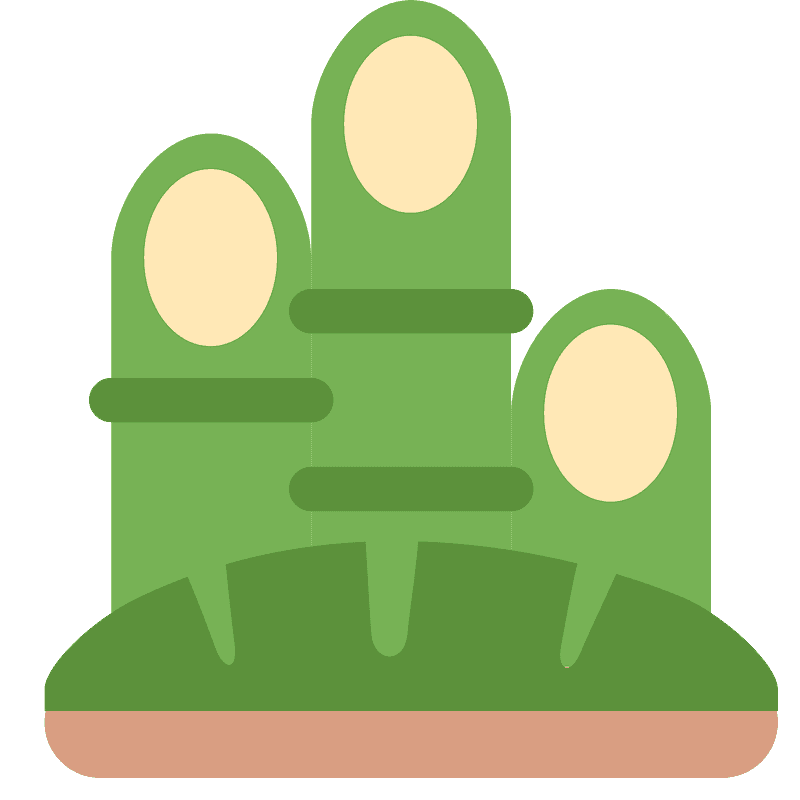 Pine decoration
