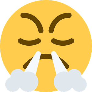 Face with steam from nose