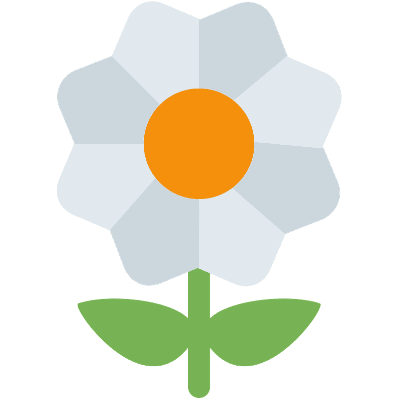 开花