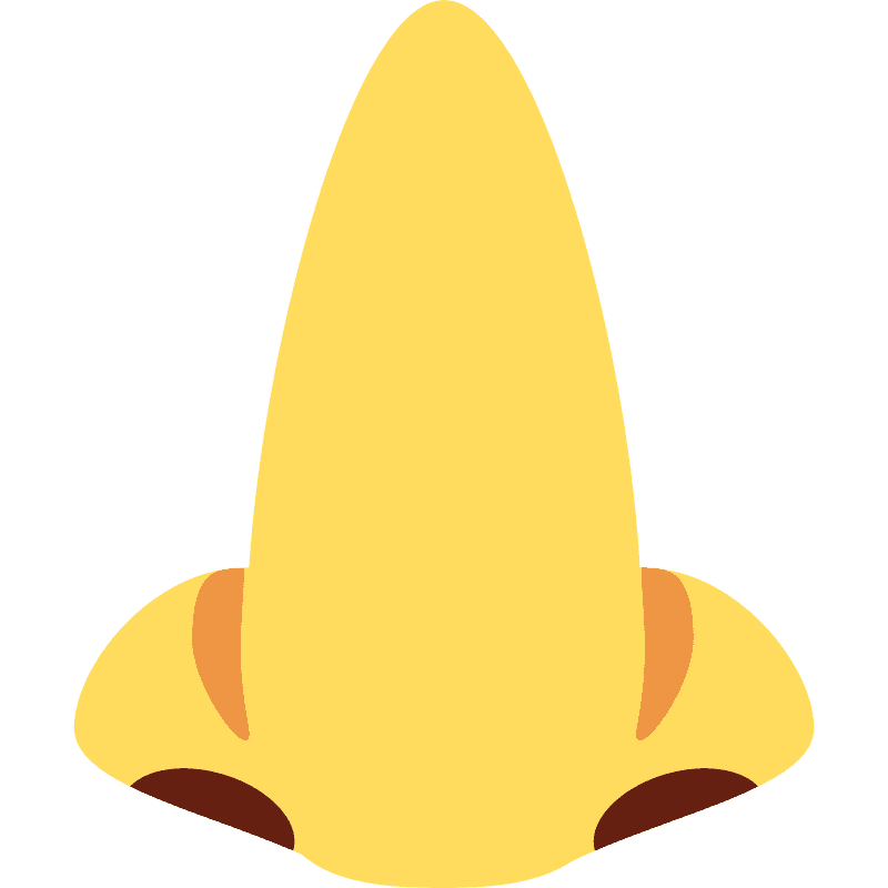 Hidung