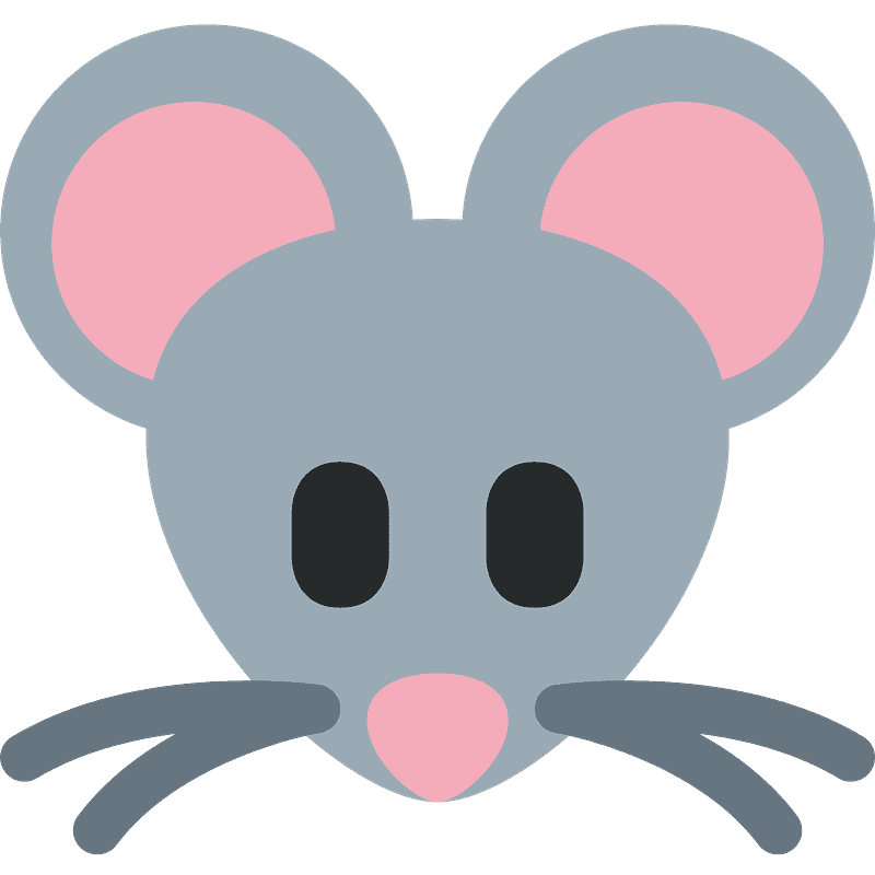 Mouse face