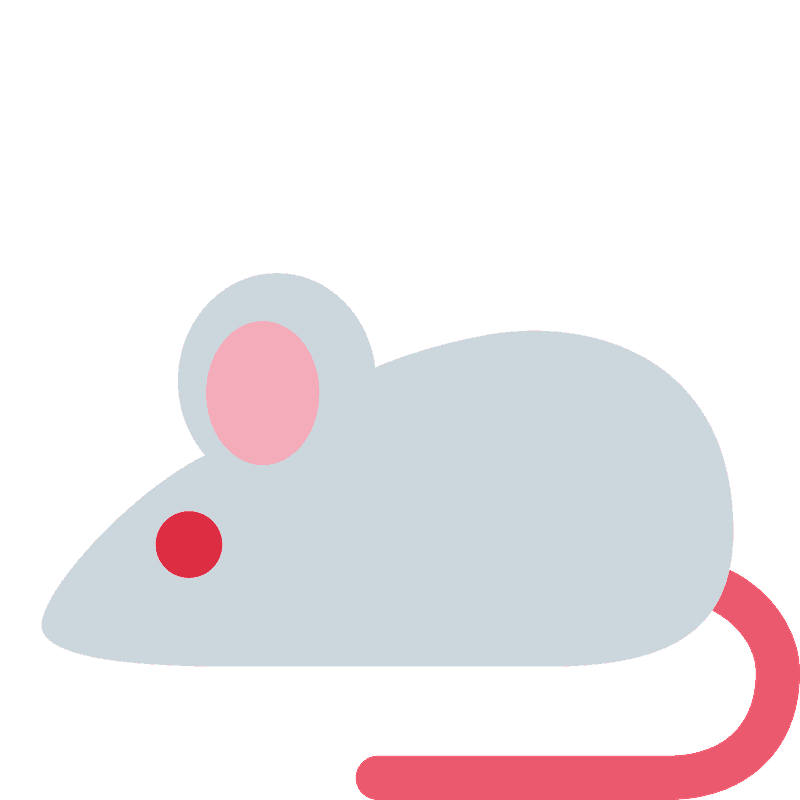 老鼠