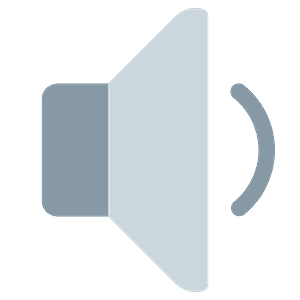 Speaker medium volume