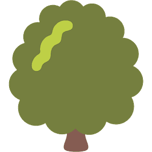 Deciduous tree