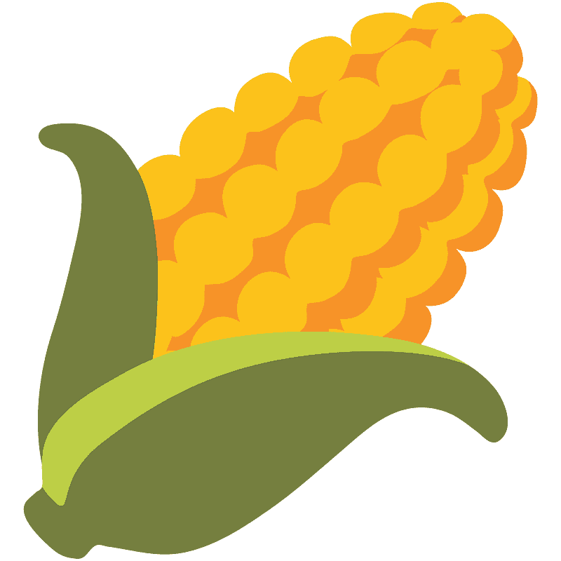 Ear of corn
