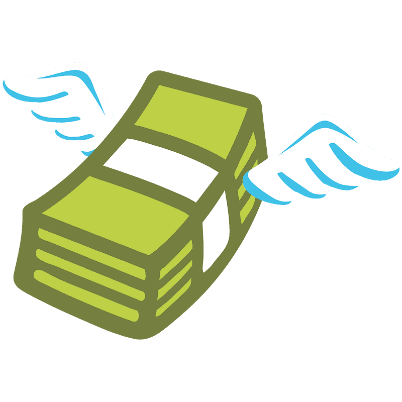 Money with wings