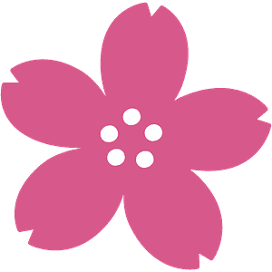 Cherry blossom