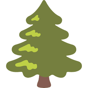 Evergreen tree