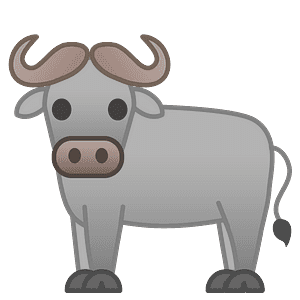 Water buffalo