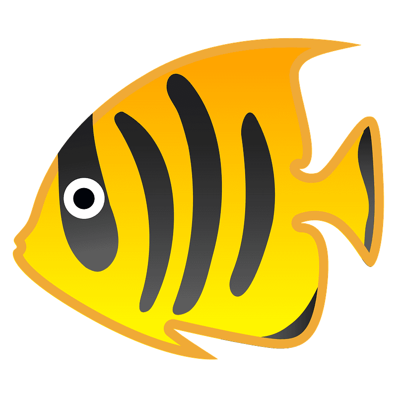 Tropical fish
