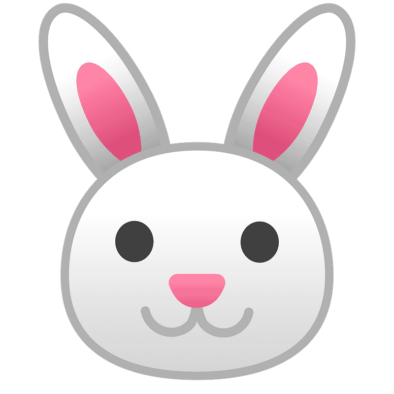 Rabbit face
