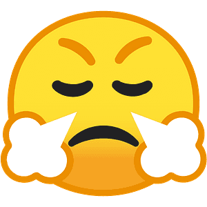 Face with steam from nose