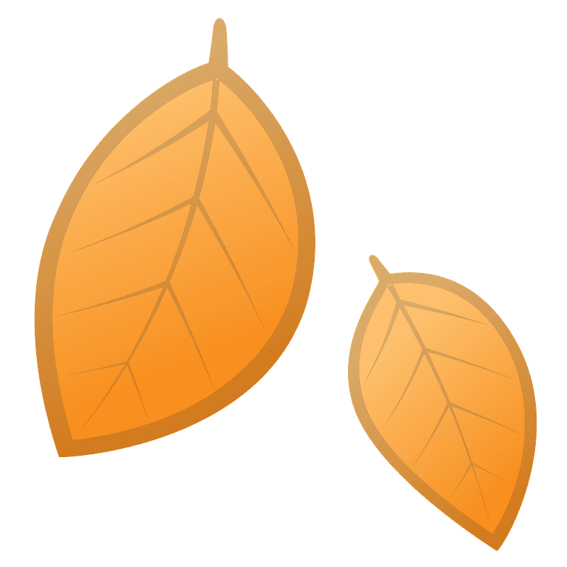 Fallen leaf
