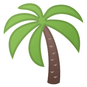 Palm tree